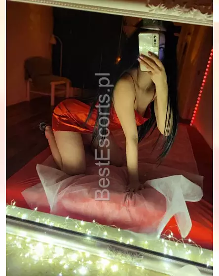 Liza szczupła kicia