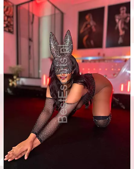 Amara latino